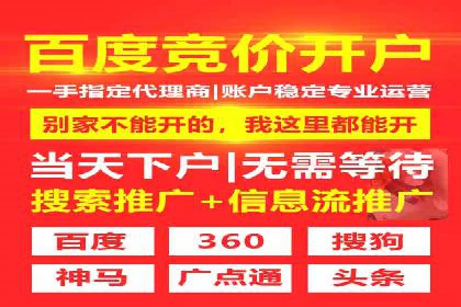 百度SEO推广策略调整：一个成功的调整案例