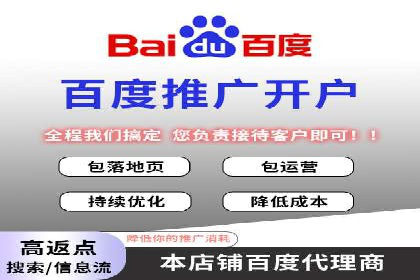 百度推广费用投入与用户转化路径的优化案例